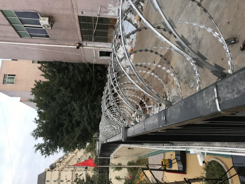刺网