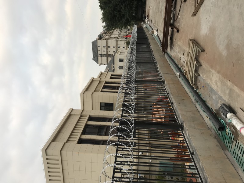 刺网