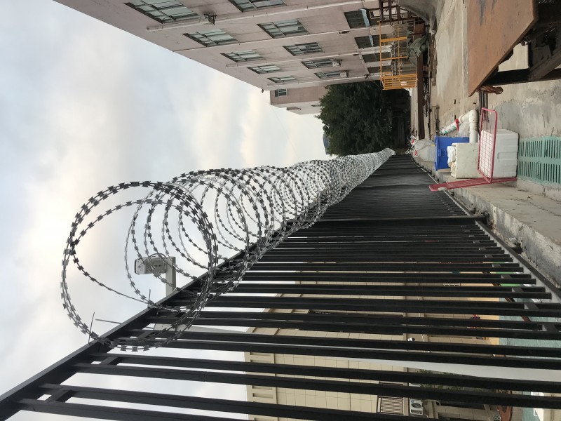 刺网